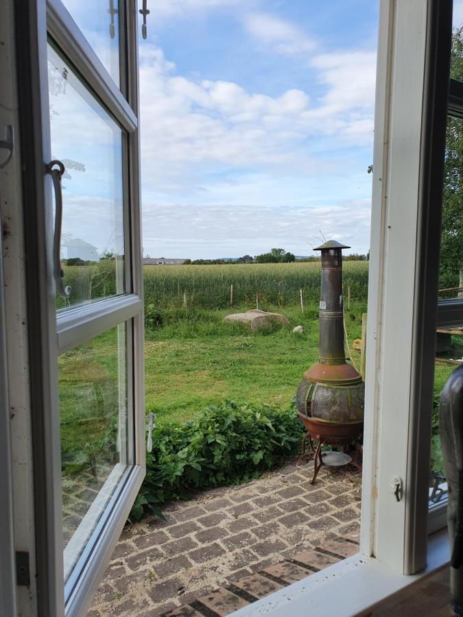 Skortskaer Bondegardsferie Bed & Breakfast Havnsø Dış mekan fotoğraf