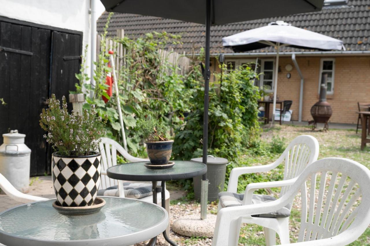 Skortskaer Bondegardsferie Bed & Breakfast Havnsø Dış mekan fotoğraf
