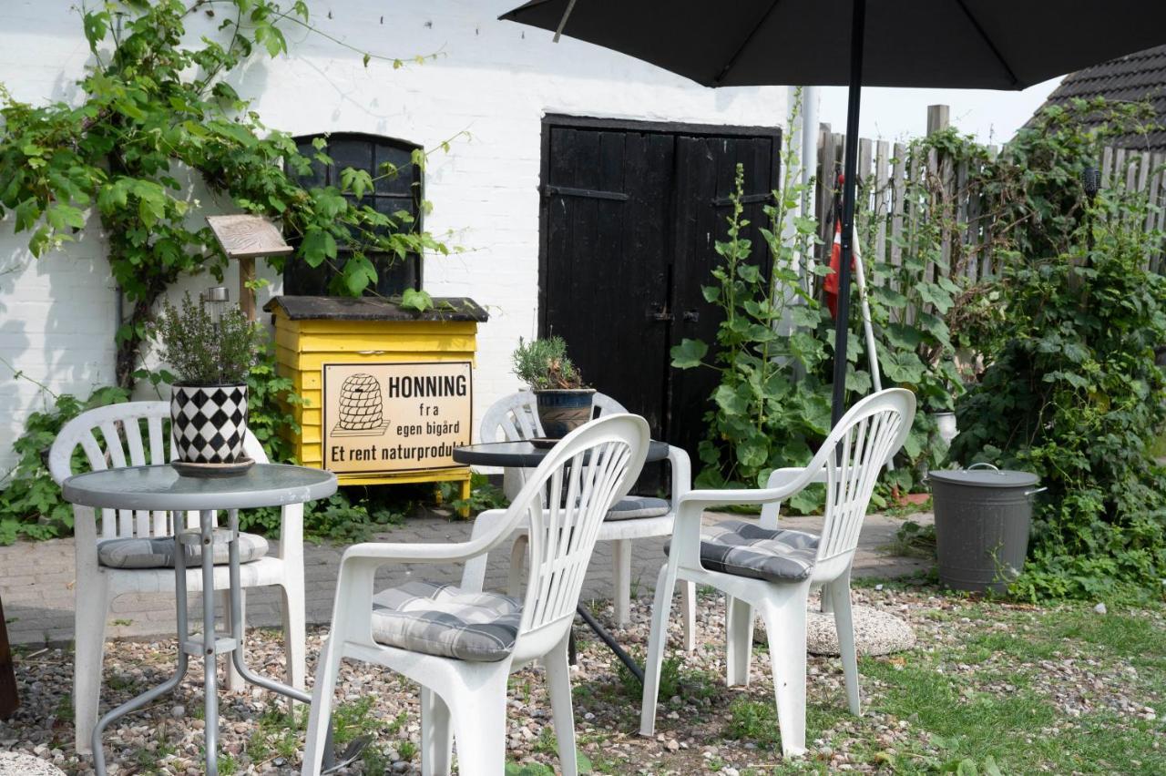 Skortskaer Bondegardsferie Bed & Breakfast Havnsø Dış mekan fotoğraf