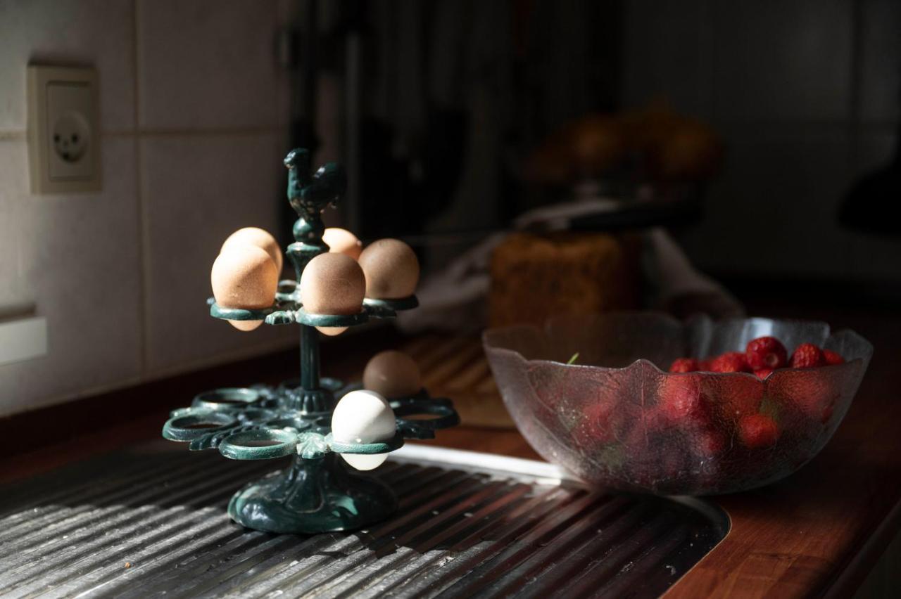 Skortskaer Bondegardsferie Bed & Breakfast Havnsø Dış mekan fotoğraf