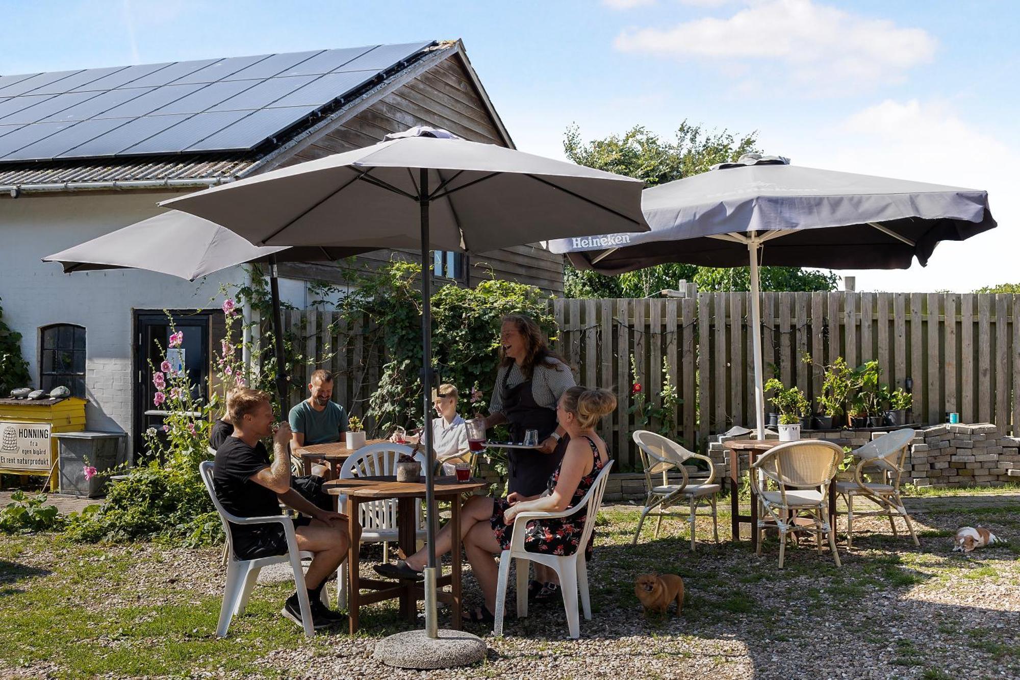 Skortskaer Bondegardsferie Bed & Breakfast Havnsø Dış mekan fotoğraf