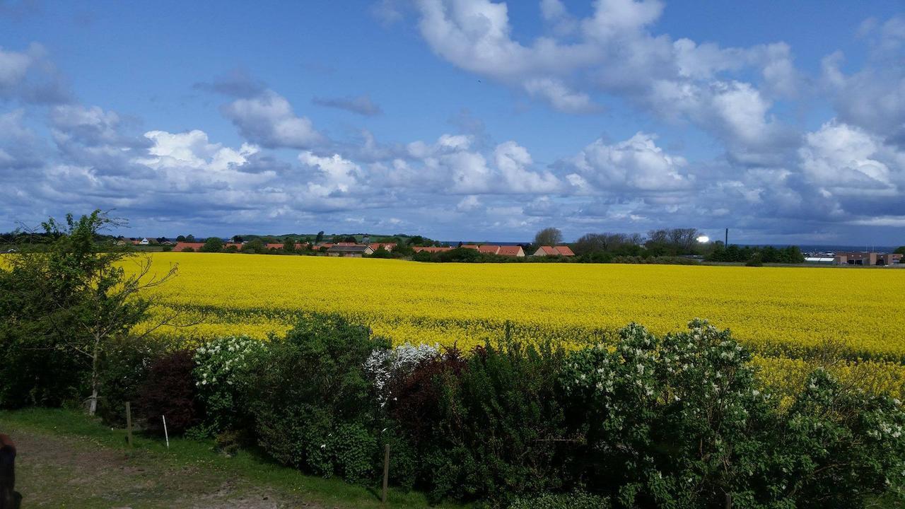 Skortskaer Bondegardsferie Bed & Breakfast Havnsø Dış mekan fotoğraf