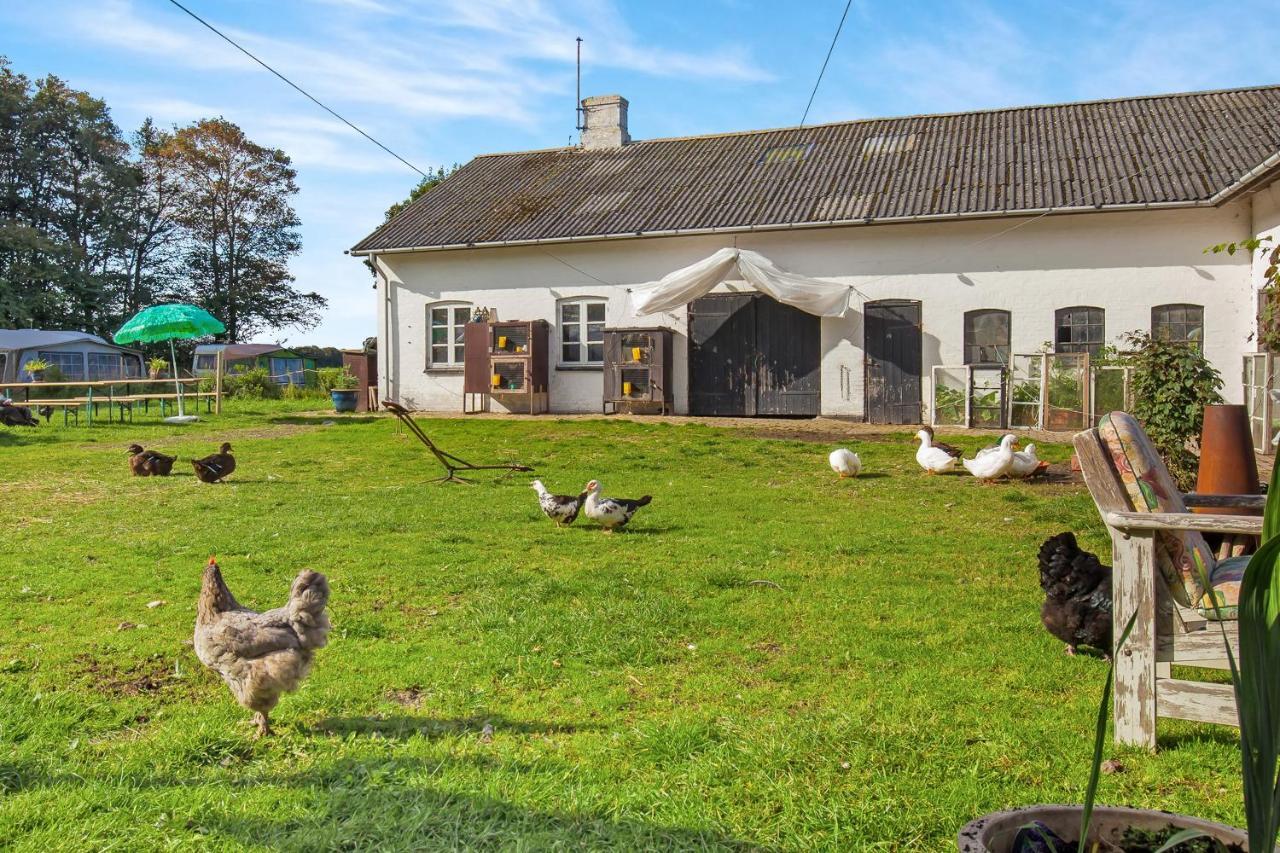 Skortskaer Bondegardsferie Bed & Breakfast Havnsø Oda fotoğraf